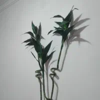 بامبو مصنوعی