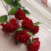 گل‌های زیبا