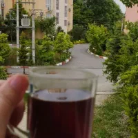 رویان جاده بلده