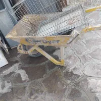 فرغون