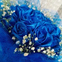 کادو ، گل رز روبانی ، پیپ پاکن ، تدی ، پروانه