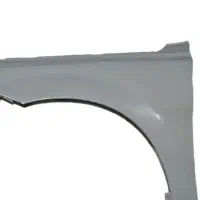 گلگیر سمت چپ راناپلاست