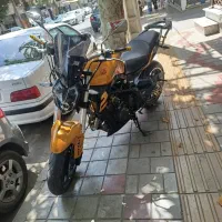 بنلی ۳۰۰ عروسک جفت سیلندر در حد