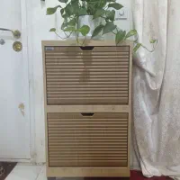 جا کفشی