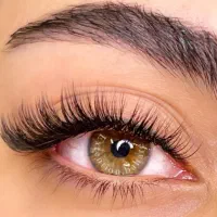 دعوت به همکاری