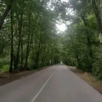 ۱۸۶مترزمین بعد تونل جنگلی کیاشهر