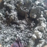 کود‌ پهن‌ گاوی‌