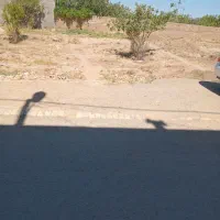 ۱۶۲مترخیابان ولیعصر۱۳ یخدان
