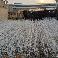 شاخ گوزنی و حفاظ نرده