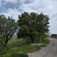 زمین با کاربری مسکونی/ سند تک برگ آماده انتقال