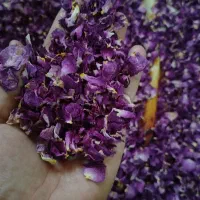 گل محمدی خشک