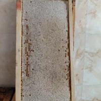 عسل بهاره همراه موم و عسل صاف شده