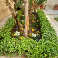 باغچه کاری و سمپاشی گل و گیاه