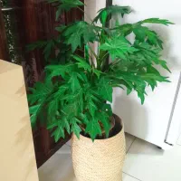 گل مصنوعی