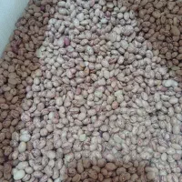 لوبیا|خوردنی و آشامیدنی|شیراز, دباغ خانه|دیوار