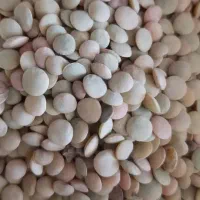 عدس پلویی زودپز