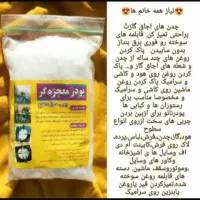 پودرمعجزه گر