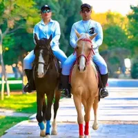 آموزش سوارکاری  پانسیون خرید و فروش