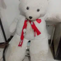 خرس بزرگ گنده