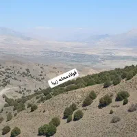 زمین-مسکونی-مزروعی-ویلا-و-باغ-فولادمحله
