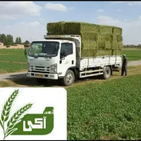 یونجه درجه یک چین دوم
