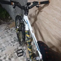 دوچرخه ویوا