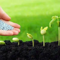 بورس فروش انواع کود کشاورزی اصلی