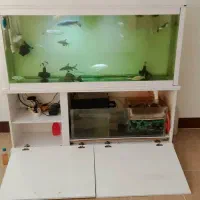 آکواریوم با همه وسایل و ماهی