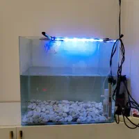 آکواریم شیشه خم با تمام تجهیزات