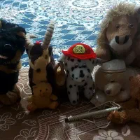 عروسک