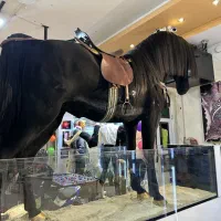 مجسمه اسب فایبر گلاس نو