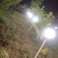 باغ زیبا نقلی|فروش خانه و ویلا|قزوین, |دیوار