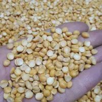 برنج حبوبات لوبیا چیتی قرمز نخود لپه عدس (کالابرگ)