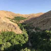 طبیعت گردی .