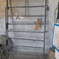 باربند پاترول چهار درب