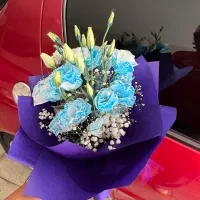 گرافیست و امور کافی نت