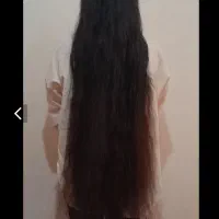 مو رنگی باقیمت بالا