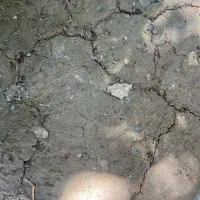 زمین قولنامه ای