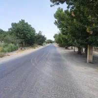 500مترباغچه-برجاده-اصلی-سندعرصه-و-اعیان