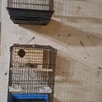 قفس۱۰۳۳ سایز بزرگ کاسگو و عروس هلندی وگرینچیک ...