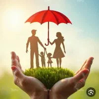 بیمه از سواری تا تریلی بدون پیش پرداخت
