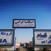 استخدام نیروی جوان