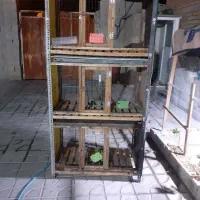 توری سه طبق