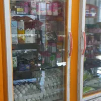 یخچال|یخچال و فریزر|سنندج, |دیوار