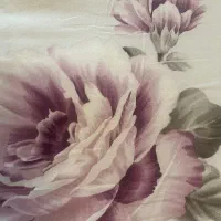 تشک گل پنبه