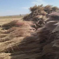 جارو محلی|لوازم نظافت|نیشابور, مازول|دیوار