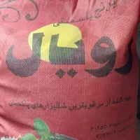 برنج پاکستانی رویال
