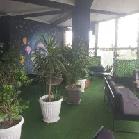 سرآشپز کافه رستوران
