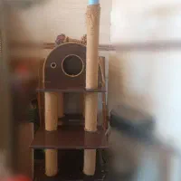اسکرچر گربه