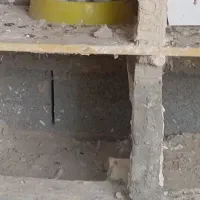 یک جفت کبوتر